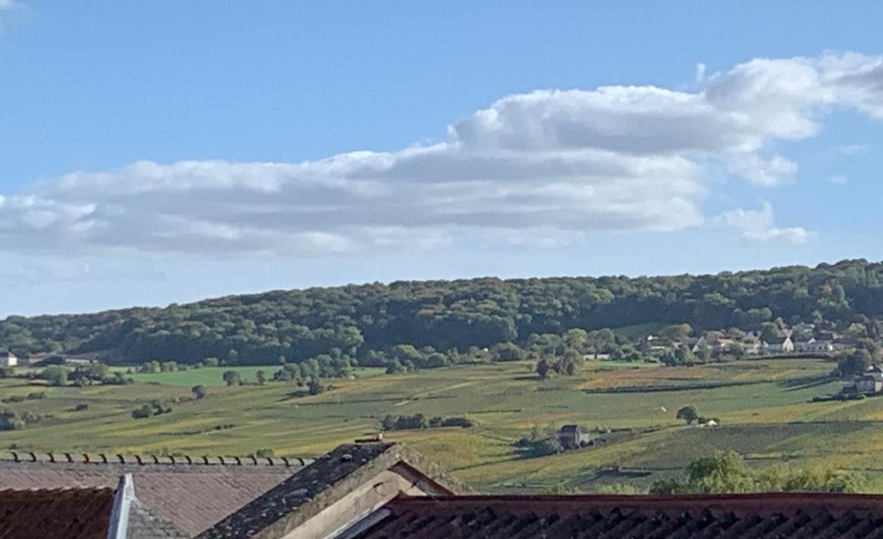 Vila Le Claugi Damery  Exteriér fotografie